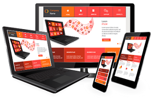 Software & Web Development